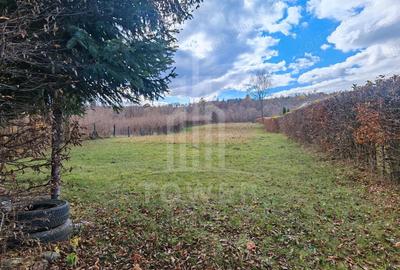 Teren de vanzare in reprezentare exclusiva, situat pe Valea Avrigului! - 5