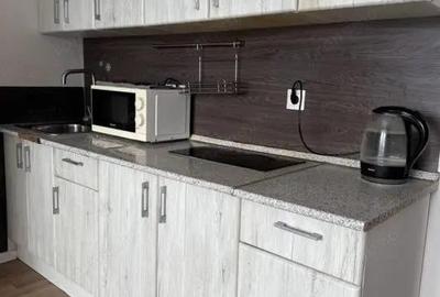 Apartament cu o camera de inchiriat in zona Balcescu - 3