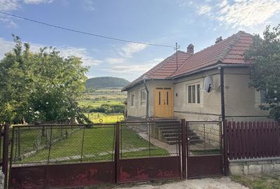 Casă cu 2 camere în Cornești - 7