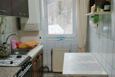 Apartament cu 3 camere decomandat în Valea Azugii - 1