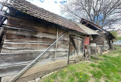 Casă cu 4 camere cu Teren 12186 Mp în Boiu - 8