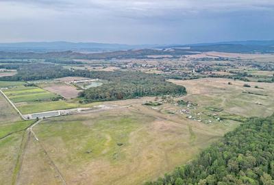 Teren Extravilan - 12