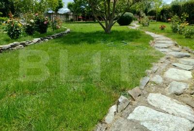 Casă cu 4 camere cu Teren 1500 Mp în Malu Mare - 13