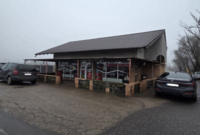 Spațiu comercial, de 133 mp, în Baldovinești - 10