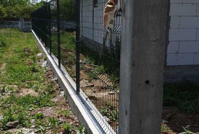 Spațiu comercial, în Central - 2