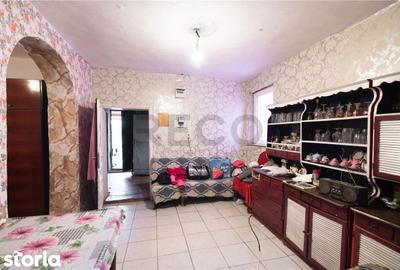 Casă cu 2 camere cu Teren 834 Mp în Cetariu - 14