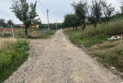 Teren de 10000 mp, în Central - 6