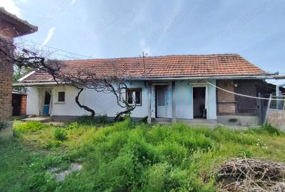 Casă cu 4 camere cu Teren 4122 Mp în Petid - 6