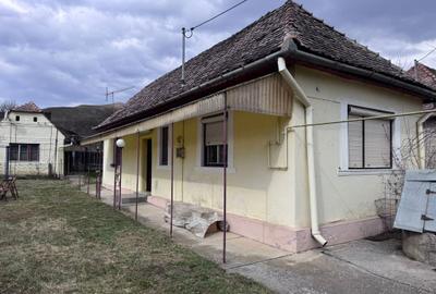 Casă cu 3 camere în Șoard - 4
