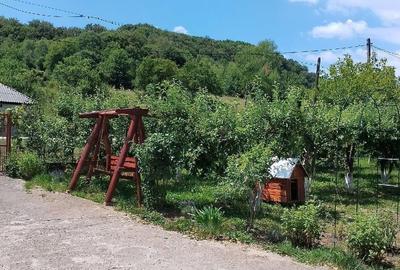Casă cu 4 camere cu Teren 1000 Mp în Vulcan - 4
