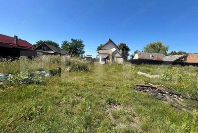 Casă cu 4 camere cu Teren 3233 Mp în Prejmer - 11