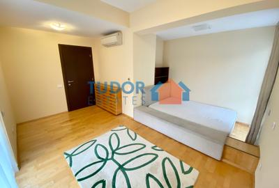Spacious 2-Bedroom Apartment with Terrace Near Herăstrău Park - 8
