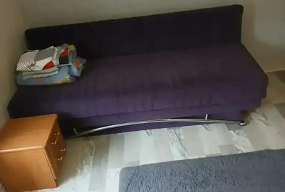 Primesc in gazda,o persoana,la vila cu confort ,de 5 stele - 3