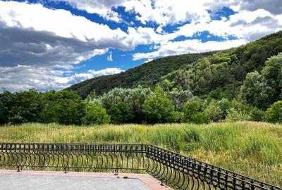 VILĂ CU DESTINAȚIE REZIDENȚIALĂ SAU TURISTICĂ (PENSIUNE), PIATRA NEAMȚ - 3