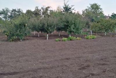 Casă cu 4 camere în Grivița - 2