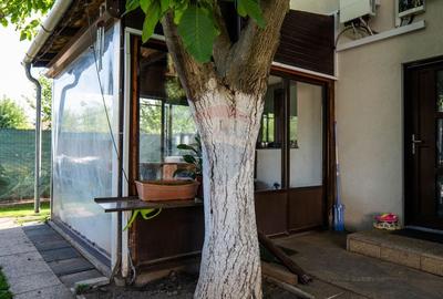 Oferta - vanzare vila cu 4 camere de vanzare, Postavaru - Calarasi - 7