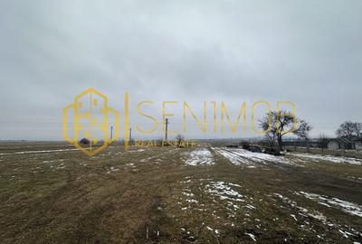Teren intravilan de vanzare în Tohanul Nou - 2