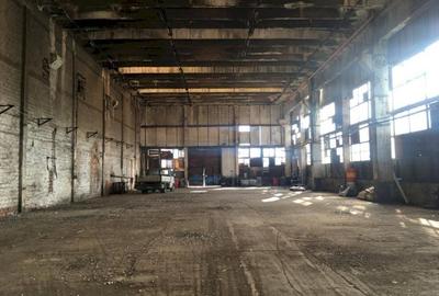 SPATIU INDUSTRIAL CODLEA -DEPOZITARE SAU LOGISTICA - 5