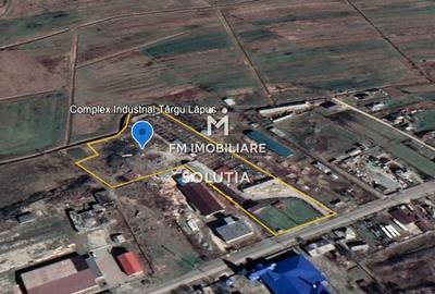 Complex industrial  cu teren 18,672 mp Târgu Lăpuș - 3