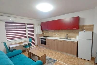 Apartament t 2 camere ,tip studio ,Drumul Binelui - 2