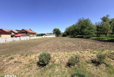 Casă cu 6 camere cu Teren 3000 Mp în Cârcea - 5