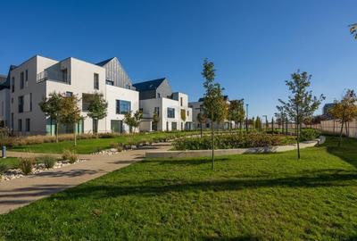 STUDIO BEST PRICE cu Gradina Avalon Estate - 6