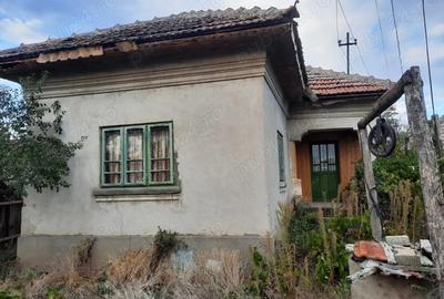 Imobiliare casa de vanzare - 1