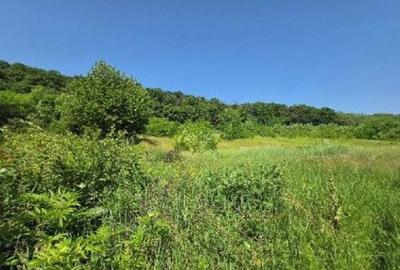 Teren Duda Epureni, ID: R2609594 - 11