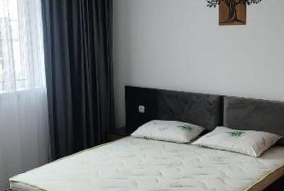 Apartament cu 2 camere decomandat, mobilat în Dobroești - 8