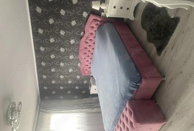 Vand casa complet utilata, 240 mp + 500 mp teren, Dezmir-str. Padurii - 3