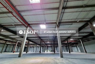 Spațiu industrial, de 5,000 mp, în Sud-Vest