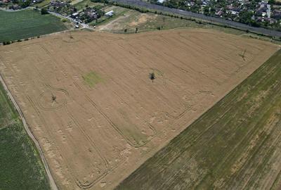 Teren de 4003 mp, în Grădiște - 17