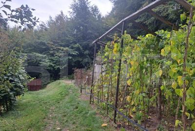 Casa de vanzare Colonia 1 Mai 75.000 EURO - 4