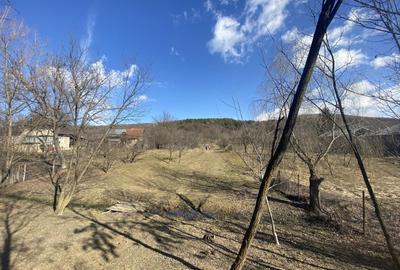 Teren Valcanesti între Comarnic și Valenii de Munte - 52