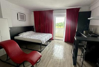 Apartament cu o camera tip studio zona Muzicescu Timi?oara Giroc - 1