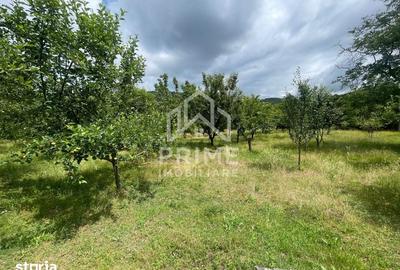 Teren de 2158 mp, în Pianu - 1