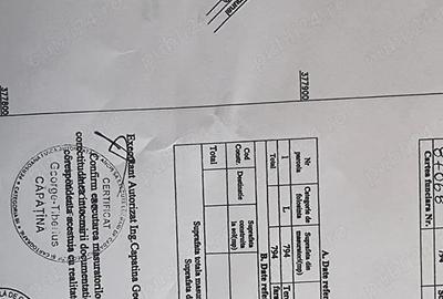 Vand loturi teren intravilan Bascov, Arges - 10