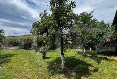 Casă cu 4 camere cu Teren 1144 Mp în Șard - 9