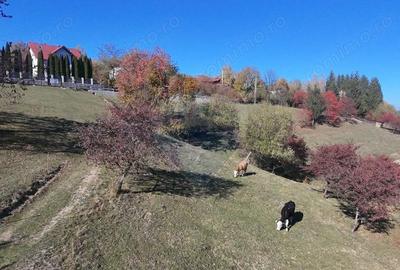 Teren de 2500 mp, în Bran - 3