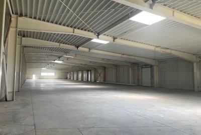 Hala de vanzare, situata in Sanandrei, judetul Timis - 6