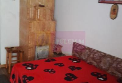 Movilita - vanzare casa 5 cam plus livada pe rod si teren 1800 mp - 57