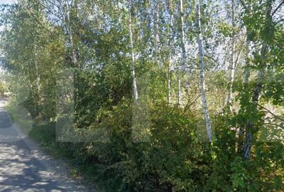 Teren de 990 mp, în Mănăștur - 2