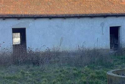 Teren de 2881 mp, în Ciuperceni - 4