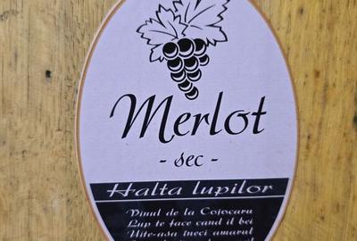 Teren de 80000 mp, în Covăsinț - 11