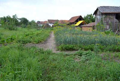 Casă cu 4 camere în Cărand - 6