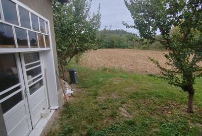 Casă cu 4 camere în Tauț - 9