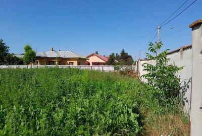 Teren de 1800 mp, în Movilița - 5