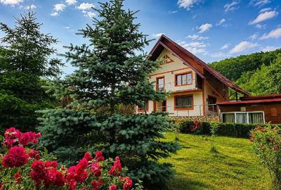 Casă cu Teren 1800 Mp în Enculești - 1