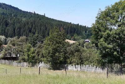 Teren în Voroneț - 1