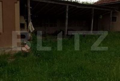 Casă cu 3 camere în Ruginoasa - 6